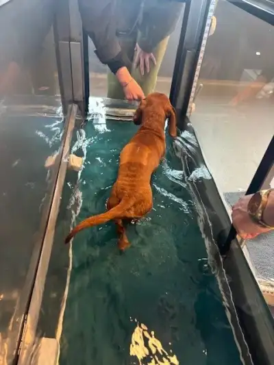 Hydrotherapie